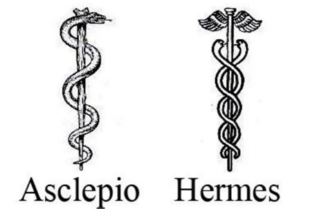 hermes bastone